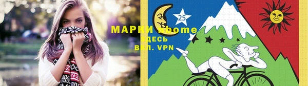 индика Мегион