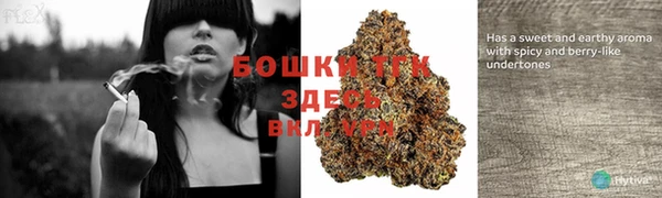 мдпв Пыталово