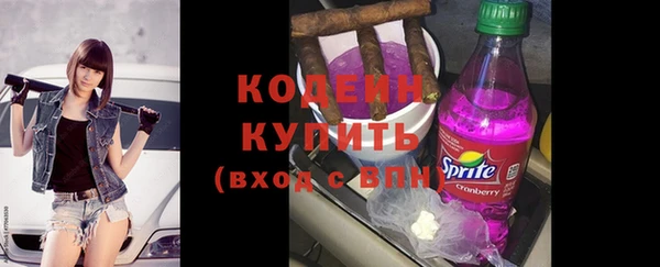 индика Мегион