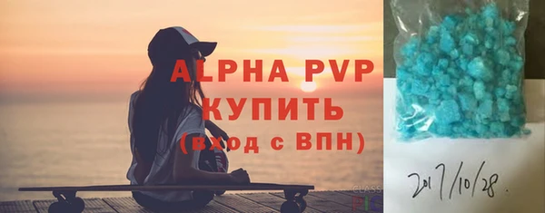 индика Мегион