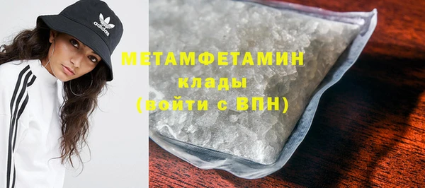 индика Мегион