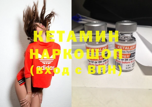 индика Мегион