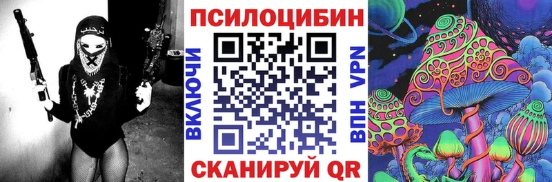 Псилоцибиновые грибы мицелий  Фатеж 
